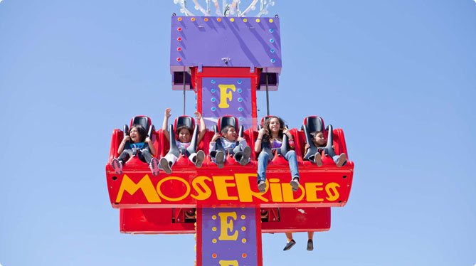 Bouncer ride