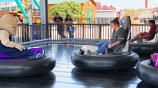 Freddy Flea's bumper cars