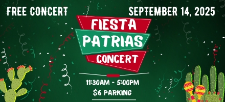 Fiestas Patrias (440 x 200 px) (2)