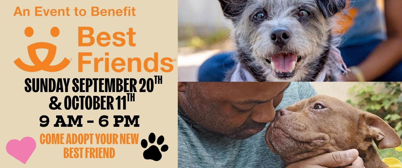Best Friends Pet Adoption
