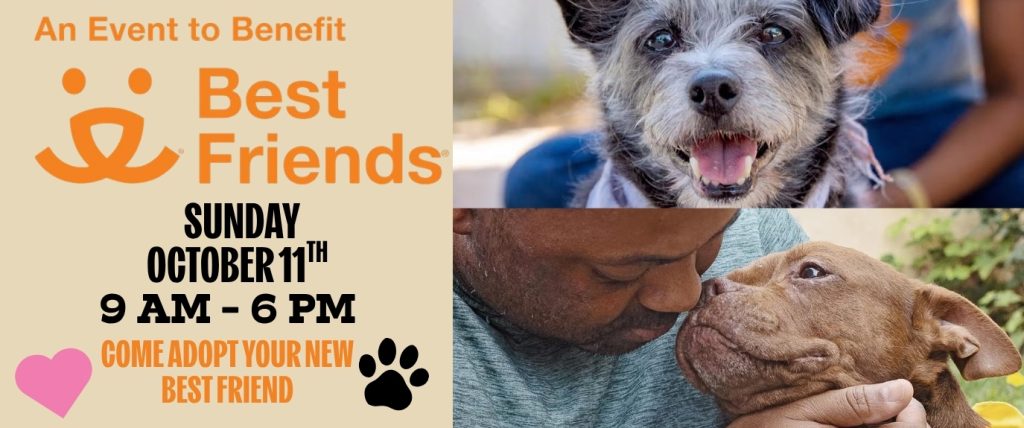 Best Friends Adoption 10.2026